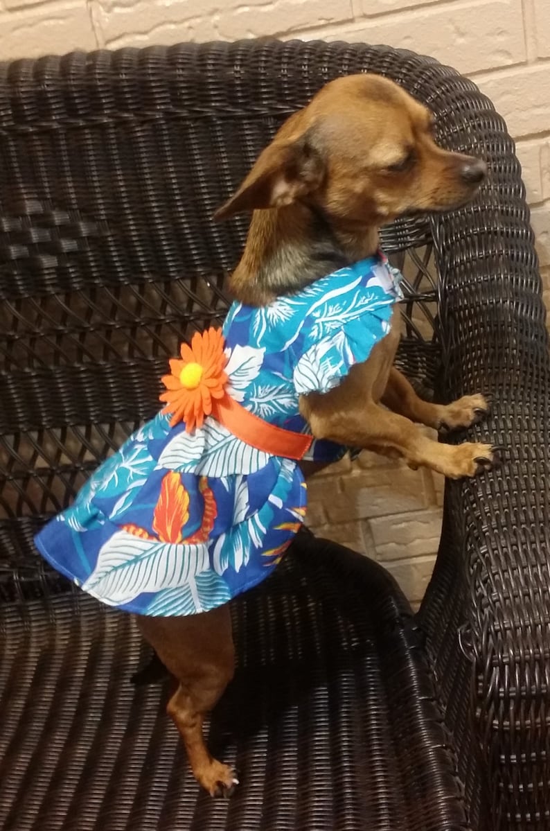 Dog Harness PRINTED Twirl Tiered Dog Dress Dog Clothes Sewing Pattern PDF Dog Dress Pet Clothes Tutorial