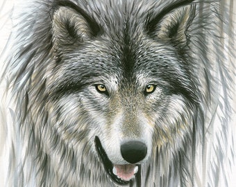 Gray Wolf Wildlife Limited Edition Art Print - "Out of the Depths" Painting by Chuck Black