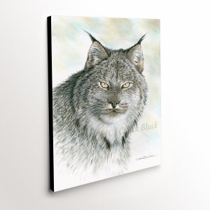 Canada Lynx Canvas Art Print - &quot;The King&quot; Painting by Chuck Black
