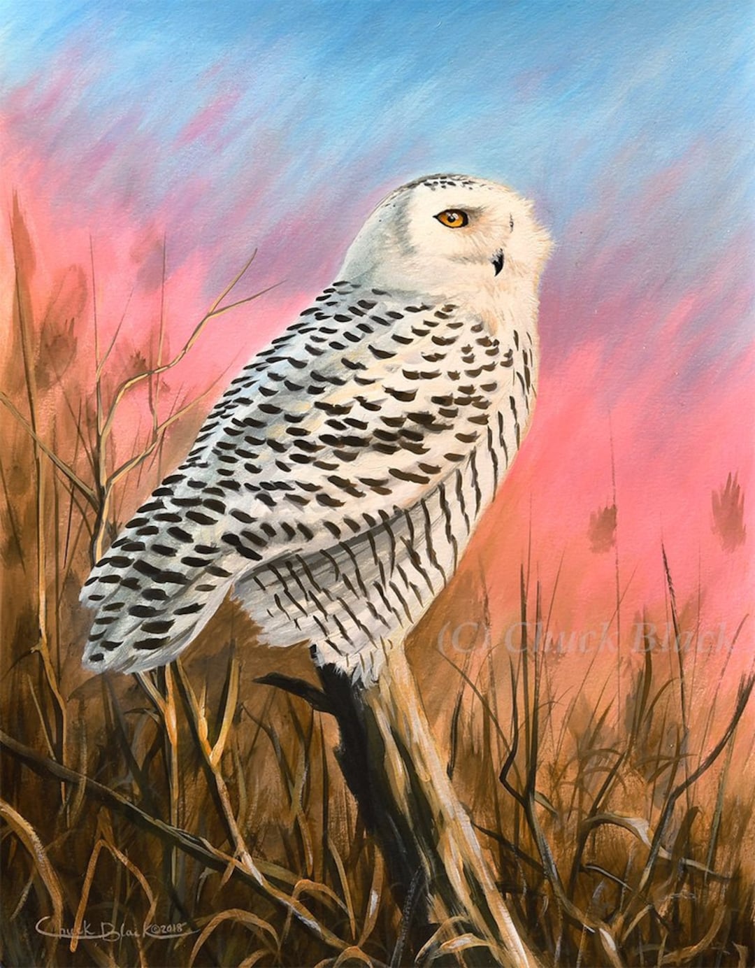 Snowy Owl Limited Edition Art Print an Early - Etsy
