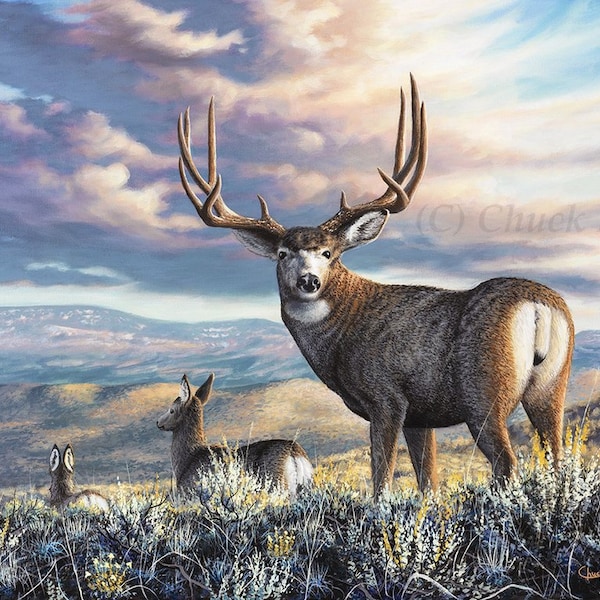 Mule Deer Limited Edition Art Print - "The Inspiration" Painting by Chuck Black