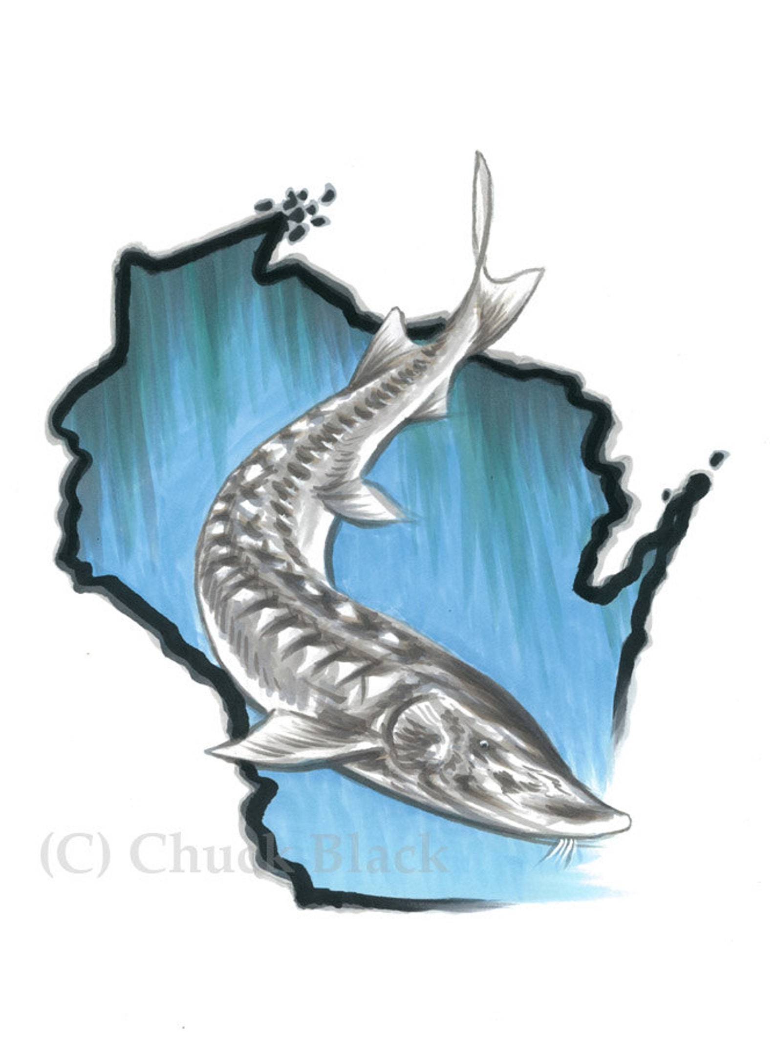 Wisconsin Sturgeon Limited Edition Art Print a True Etsy