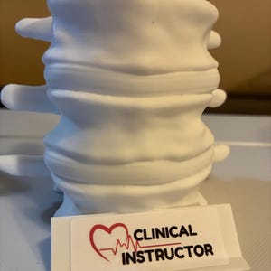 May include: A white anatomical model of a lumbar vertebra, showcasing detailed spinal structure. A sticker at the base reads "CLINICAL INSTRUCTOR" with a heart and EKG-style graphic. The model is designed for educational or medical display.