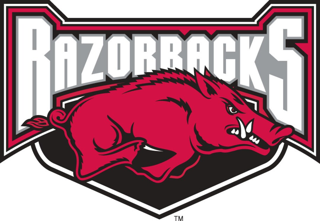 NCAA SEC Arkansas Razorbacks Billiard Pool Ball Shift Knob Threaded ...
