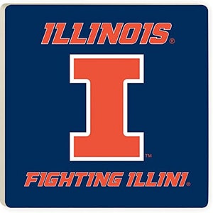 NCAA Illinois Fighting Illini Billiard Pool Ball Shift Knob Big 10 Threaded Custom Shifter 4 color options, see pictures