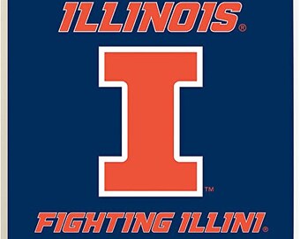 NCAA Illinois Fighting Illini Billard Pool Ball Shift Knauf Big 10 Threaded Custom Shifter 4 Farboptionen, siehe Bilder