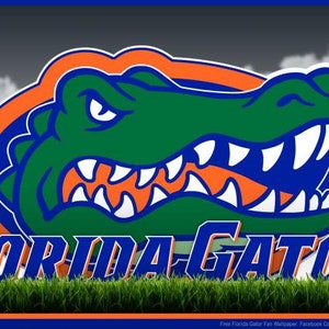 Könnte beinhalten: Ein grüner Alligator-Kopf mit einem weißen Maul und einer blauen Umrandung, vor einem orange-weißen Kreis. Die Worte "Florida Gators" sind in Blau unter dem Alligator-Kopf geschrieben.