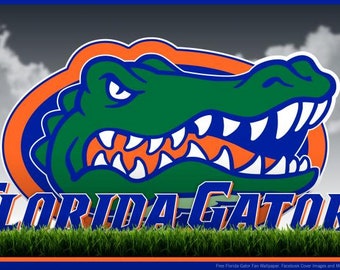 Navy 4 Farboptionen, siehe Bilder