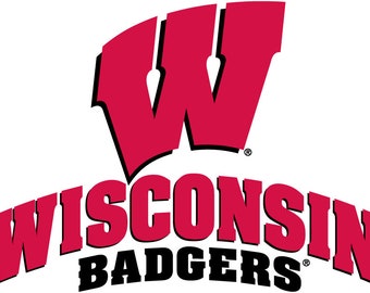 NCAA Wisconsin Badgers Pool Ball Shift Knob Big 10 Gefädelt Custom Shifter 2 Farboptionen, siehe Bilder