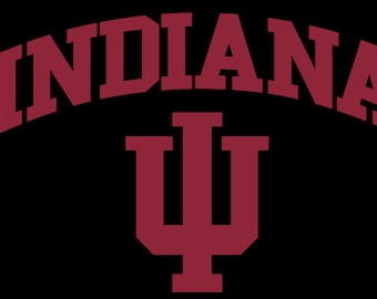 NCAA Indiana Hoosiers Billard Ball Shift Knauf Big 10 Gefädelt Custom Shifter 4 Farboptionen, siehe Bilder