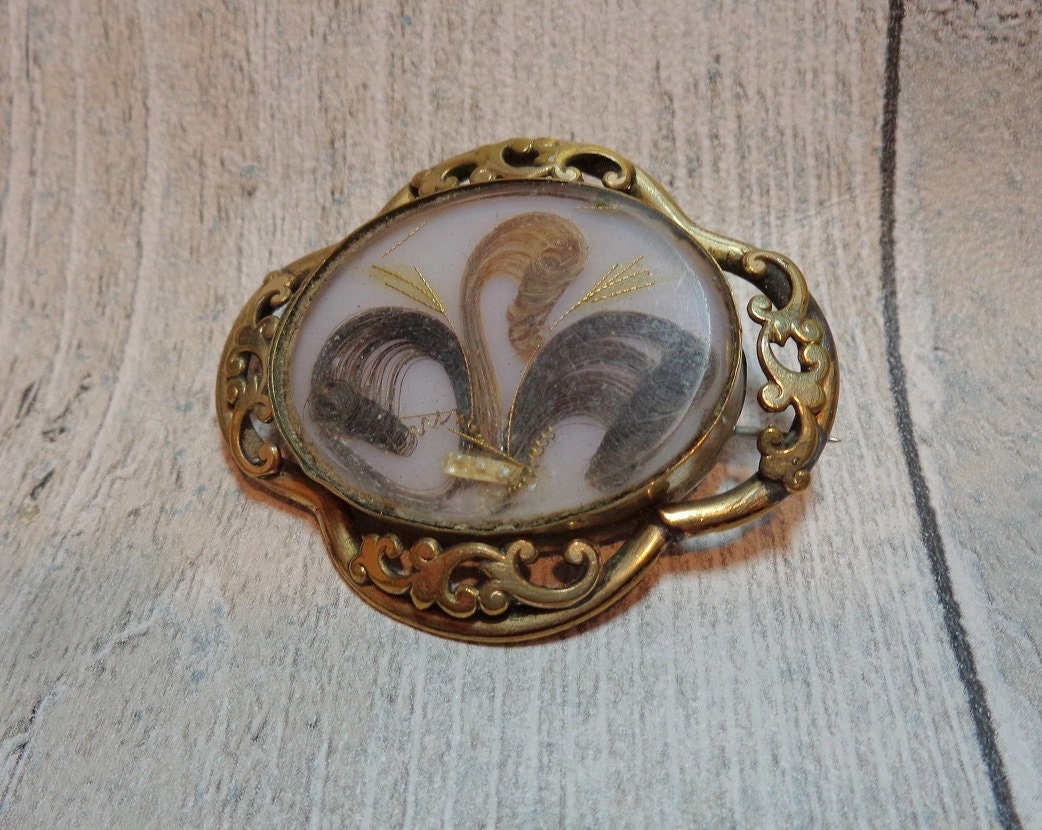 Victorian hair shop brooch