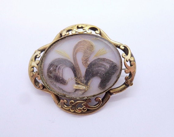 Antique Victorian Mourning Hair Brooch - image 2