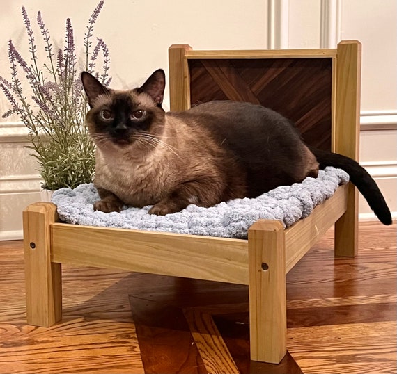 Fancy cat beds 2025