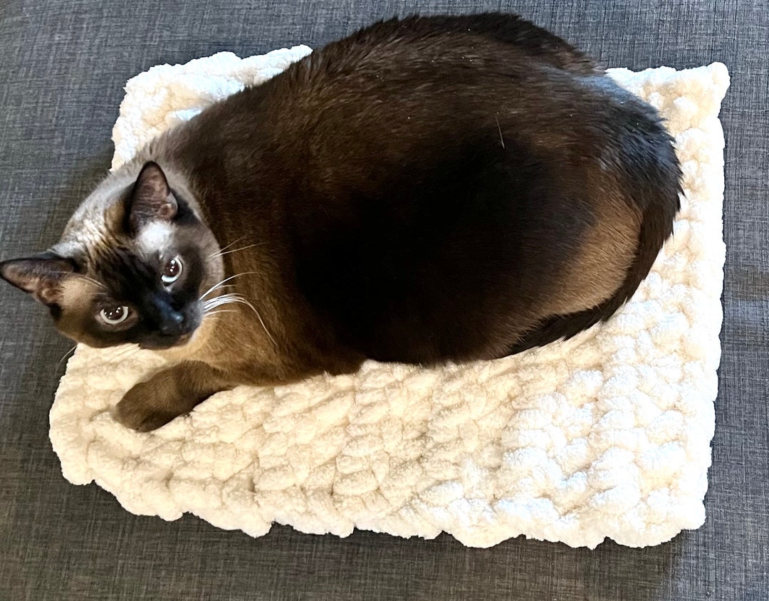 Cat Sleeping Mat Bed Chunky Cozy Crochet Knit Etsy