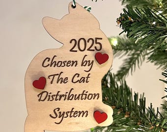 Personalized Cat Distribution System Ornament, Kitten’s Cat’s First Christmas, Custom Cat Name Gift, Family Pet