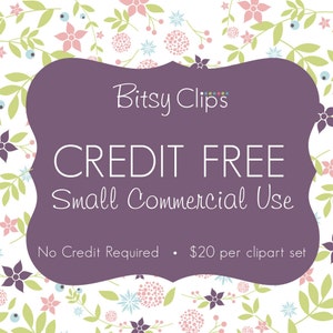 May include: Purple and white graphic with the text "Bitsy Clip's CREDIT FREE Small Commercial Use No Credit Required $20 per clipart set". The graphic is surrounded by a floral pattern with pink, green, and blue flowers.