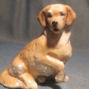 Golden retriever-hondbeeldje van Ron Hevener