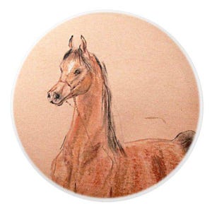 Ceramic Horse Knobs by Ron Hevener