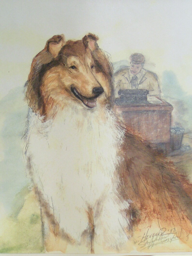 Casa de muñecas en miniatura de Adulto Perro Collie