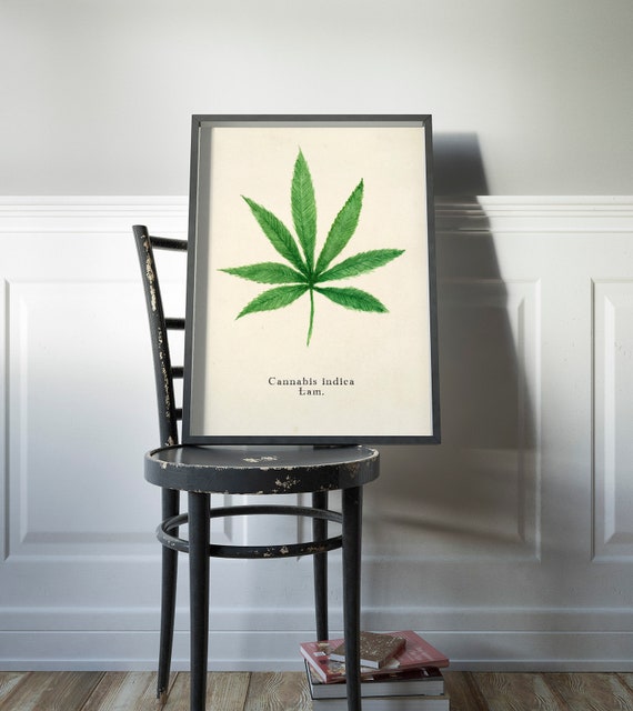 Watercolor Cannabis Leaf Art Print For The Home Cannabis Gift For Him Or Her Hemp Illustration In A Vintage Style Art Print