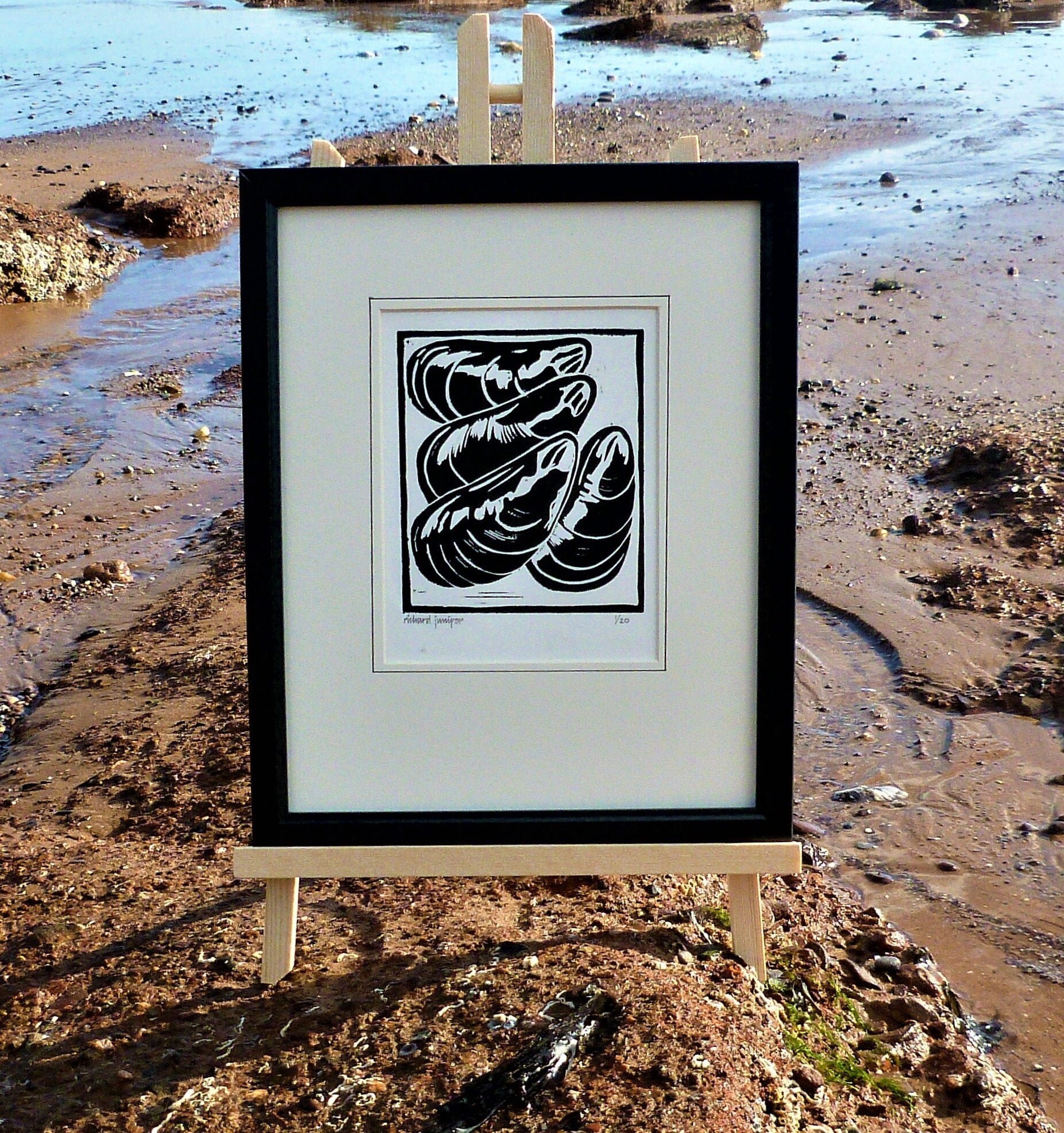 Download Seasideinspired Desktop Wallpaper Free Seasideinspired