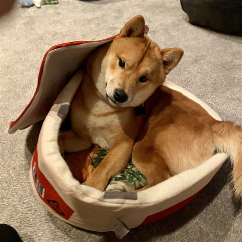 Noodle Bed Instant Ramen Dog Bed Pet bed Furniture Etsy
