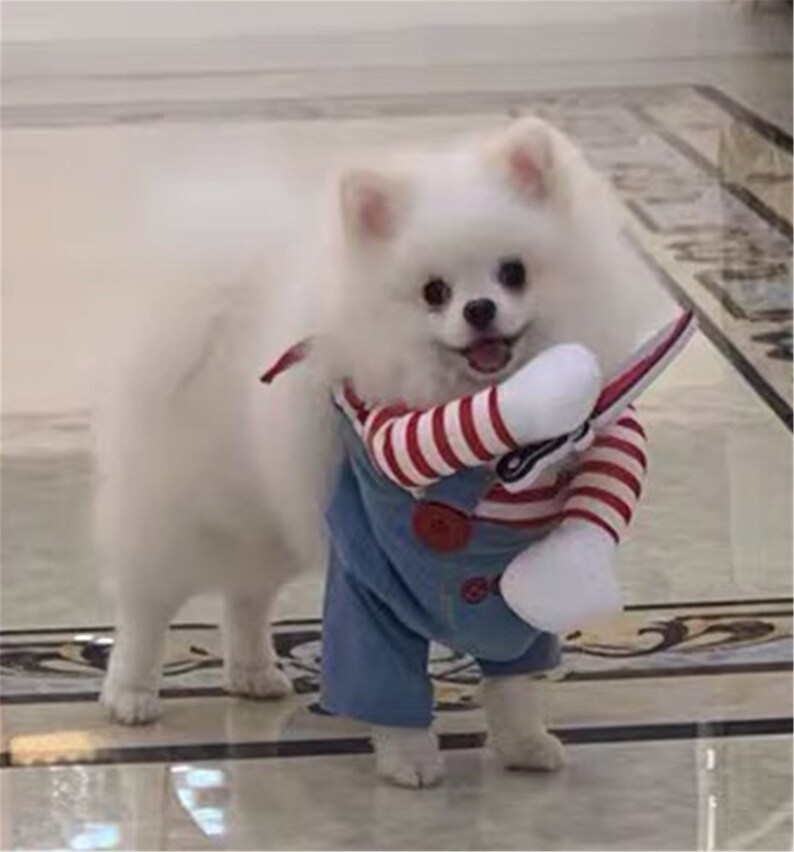 Tödliche Puppe Haustier Kostüm Hund Party Kostüm Weihnachten Etsy