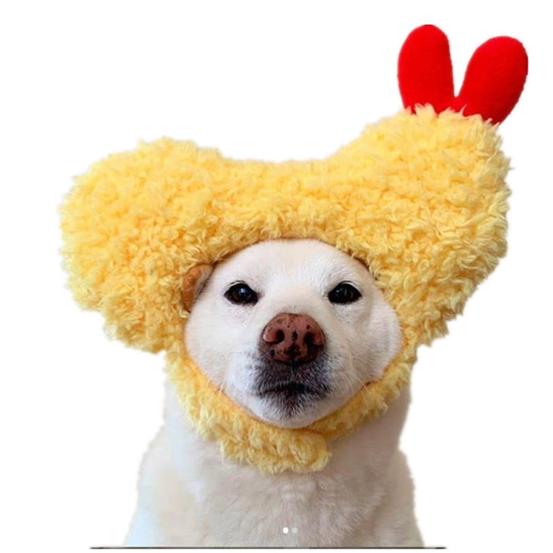 Noodles pet bed/ cup noodles kennel /instant noodle Cat nest/ Etsy