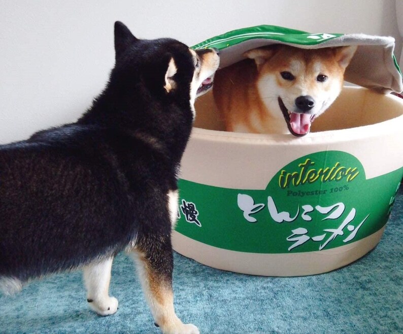 Noodle Bed Instant Ramen Dog Bed Pet bed Furniture Etsy