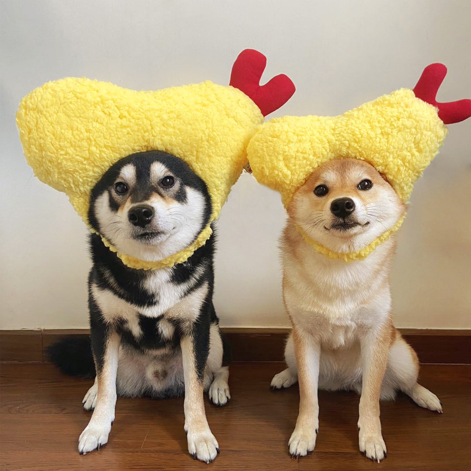 Tempura Pet Hat /tempura Pet Caps/ Shrimp Hat /shrimp Caps/ Etsy