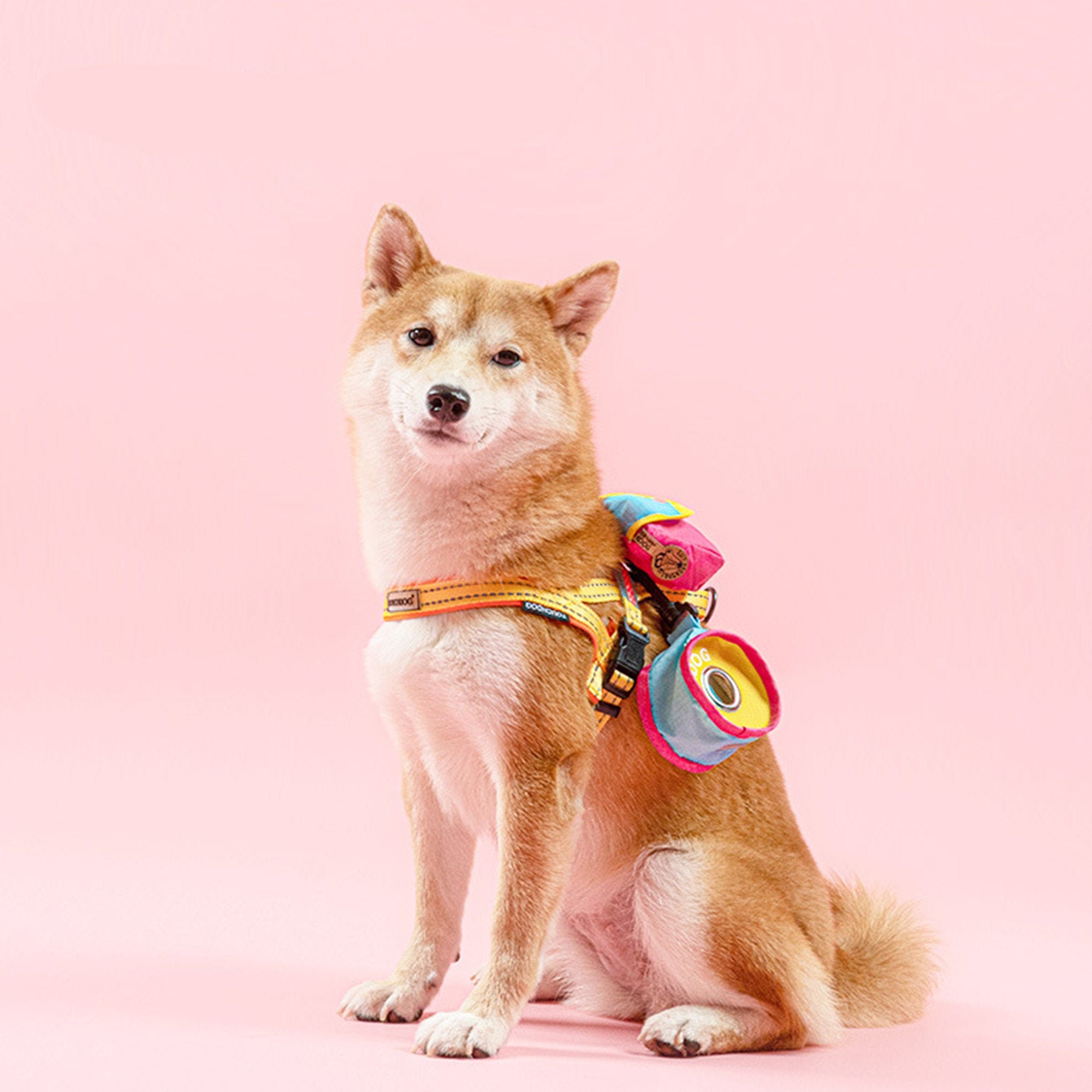 shiba backpack