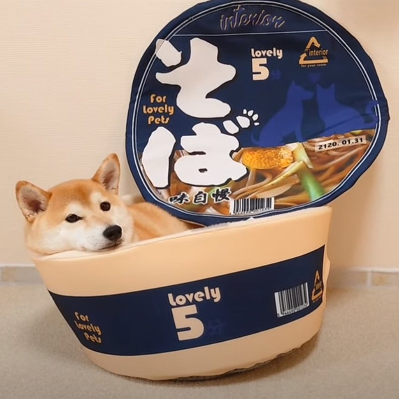 Noodle Bed Instant Ramen Dog Bed Pet bed Furniture Etsy
