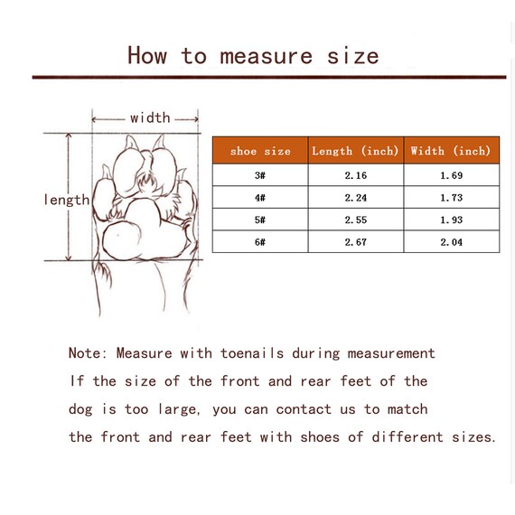 dog shoe sizes