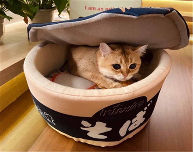 Noodle Bed Instant Ramen Dog Bed Pet bed Furniture Etsy
