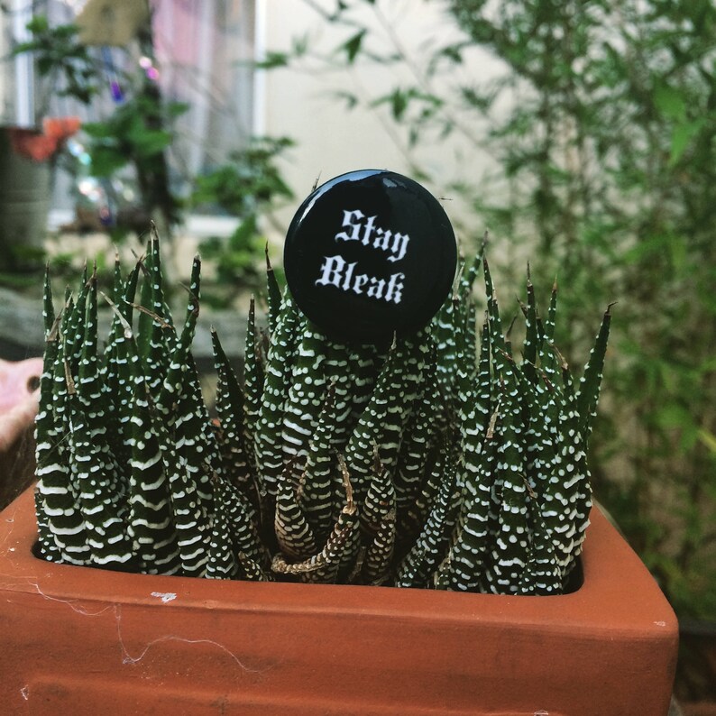 Stern Face Stay Bleak 1 Button Badge