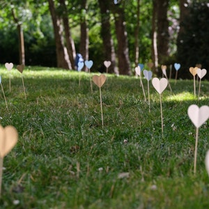 Cuori di carta piantabili - Multicolore - Cerimonia laica - Consegna veloce - Doppi cuori - Alta qualità
