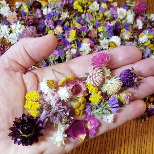 Dried flowers,2 cups,small dried flowers,resin floral crafts,dried flower wedding toss,dried strawflower, dried gomphrena, table confetti