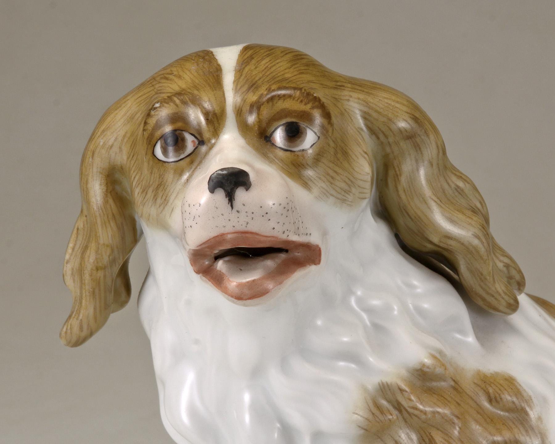 A 20th Century Meissen Porcelain Model of a Sitting Dog in White