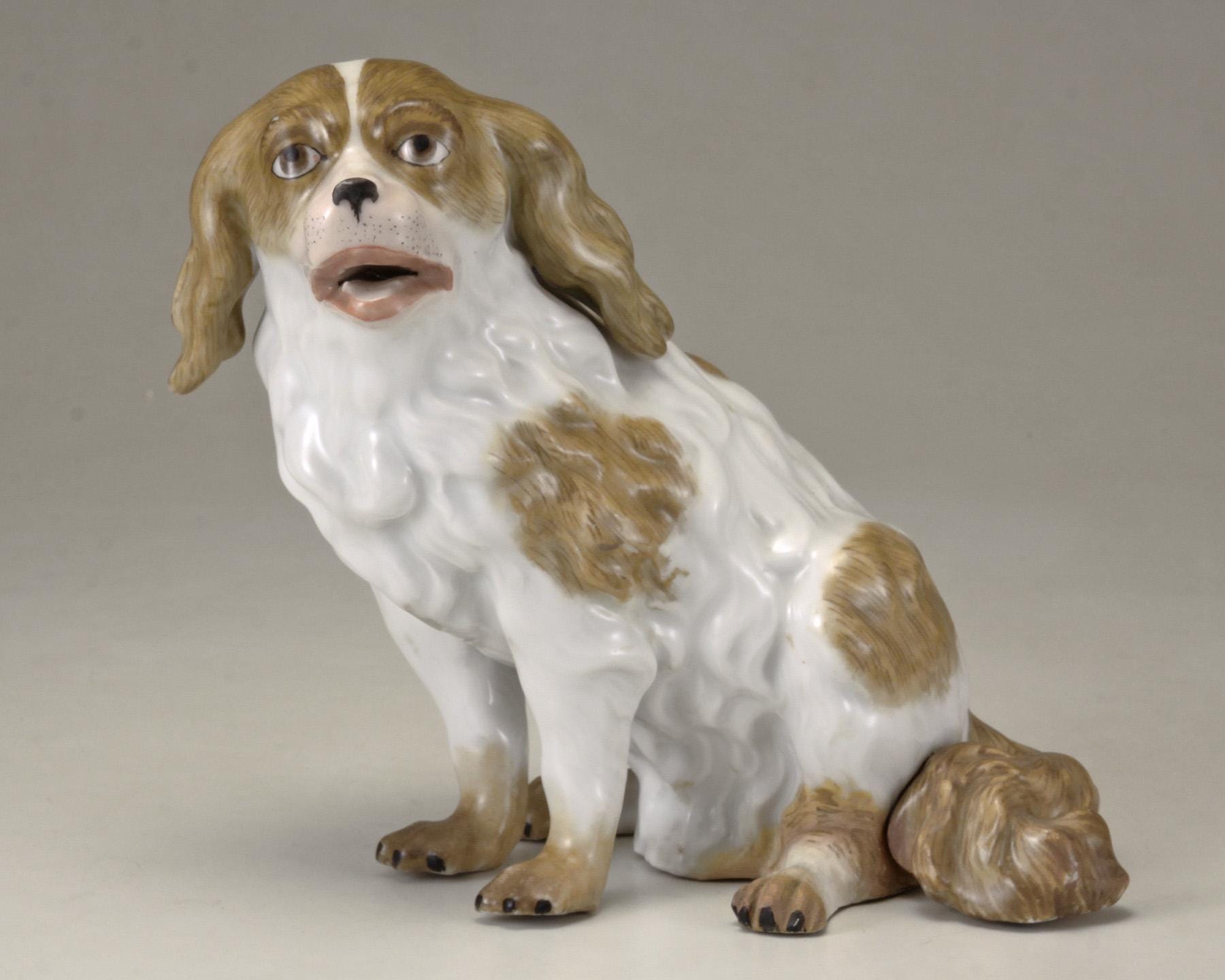 A 20th Century Meissen Porcelain Model of a Sitting Dog in White