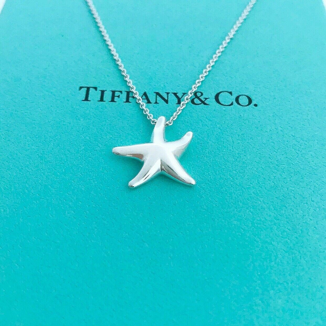Ciondolo Stella Marina Opaca Vinani Con Catena Italia In Argento 925 - Gioiello Anallergico, Made In Germany