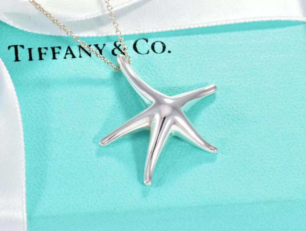 Elsa peretti starfish necklace - Etsy 日本