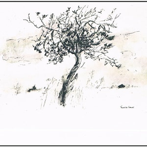May include: A black and white ink drawing of a tree with a twisted trunk and branches against a light brown background. The drawing is signed "Pamela Forrest" in the bottom right corner.