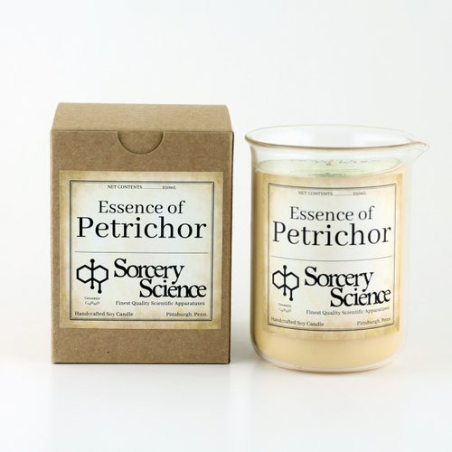 Petrichor the Smell of Earth After Rain Soy Wax Candle in - Etsy