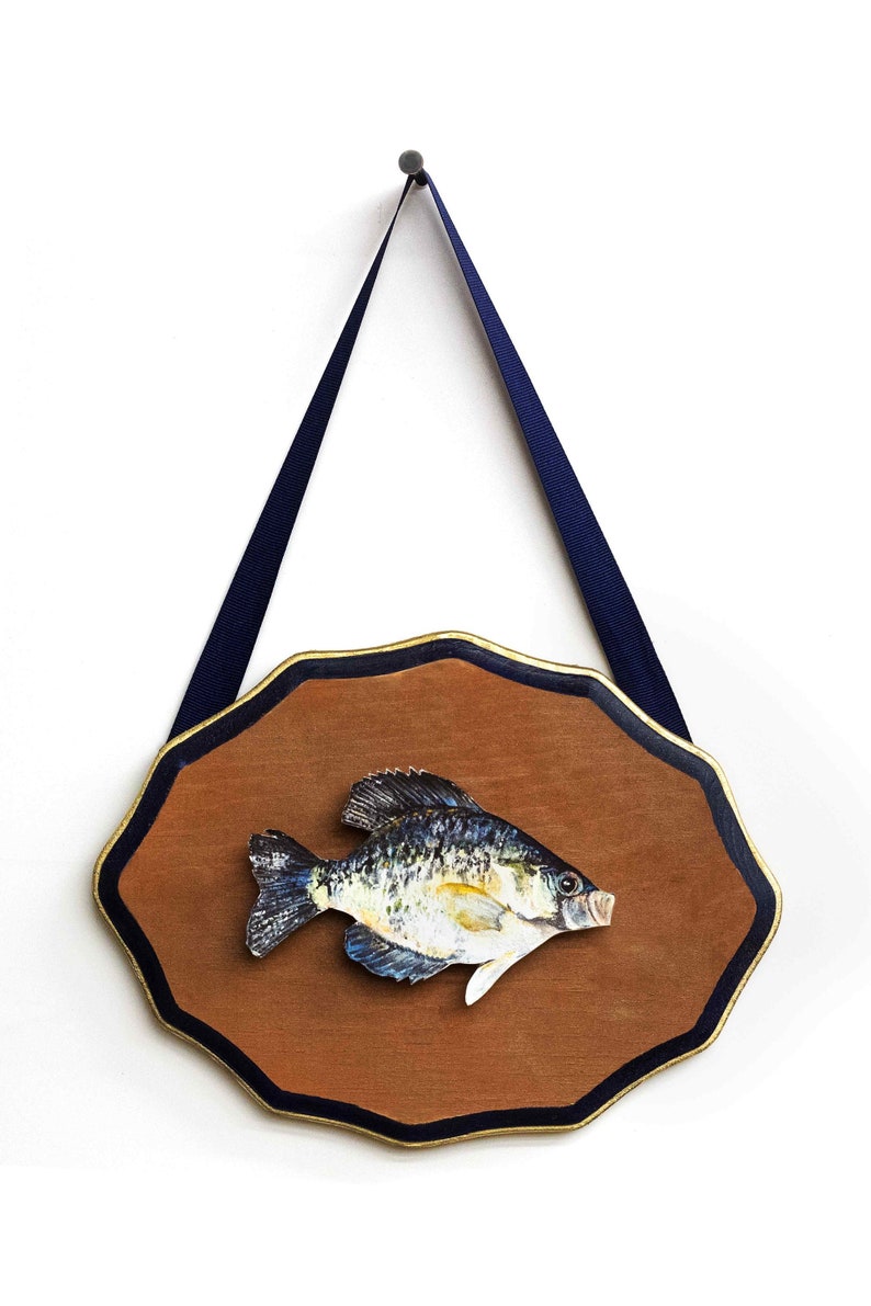 Freshwater Fish Wall decor boy's nursery theme Etsy