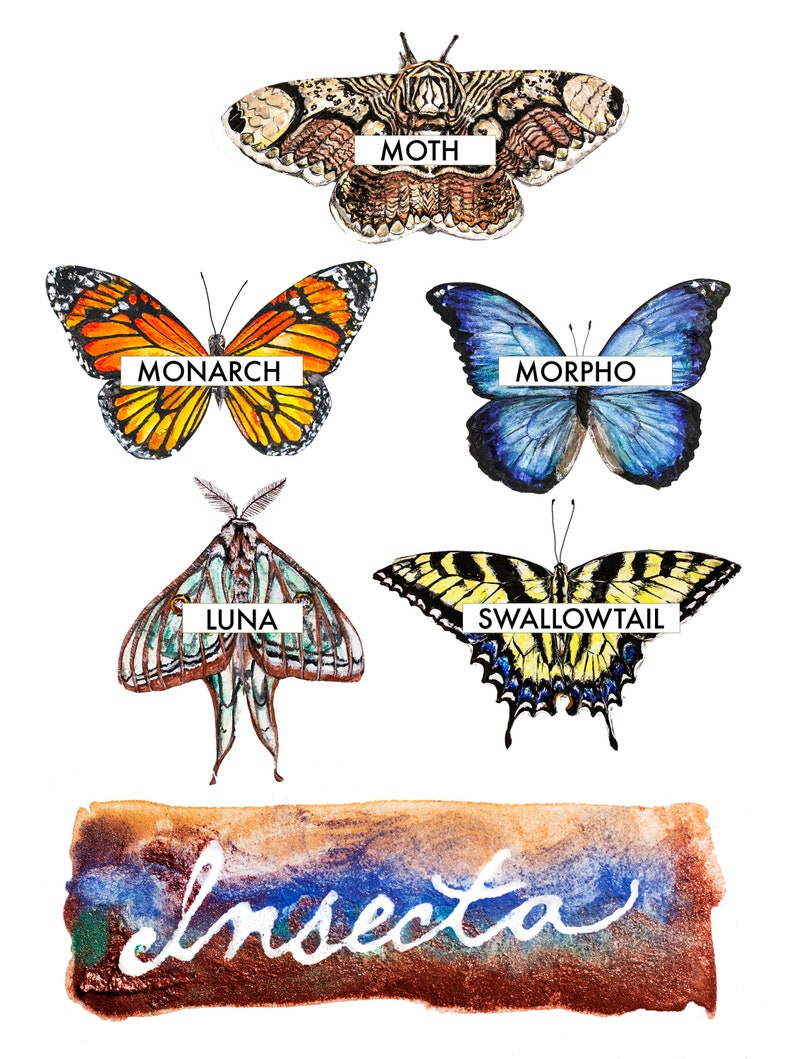 Butterfly Wall Art / Nursery Decor / Watercolor Monarch Blue Etsy