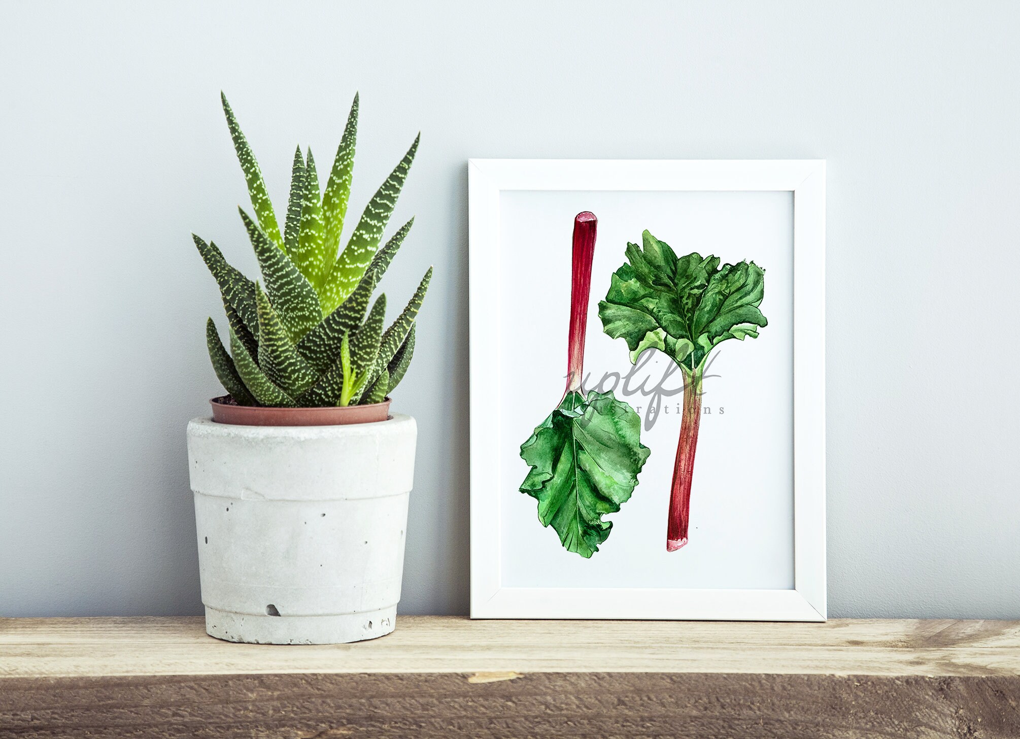 Rhubarb Watercolor Illustration - Kitchen Art Print - Swiss Chard or Rhubarb Stalks Painting
