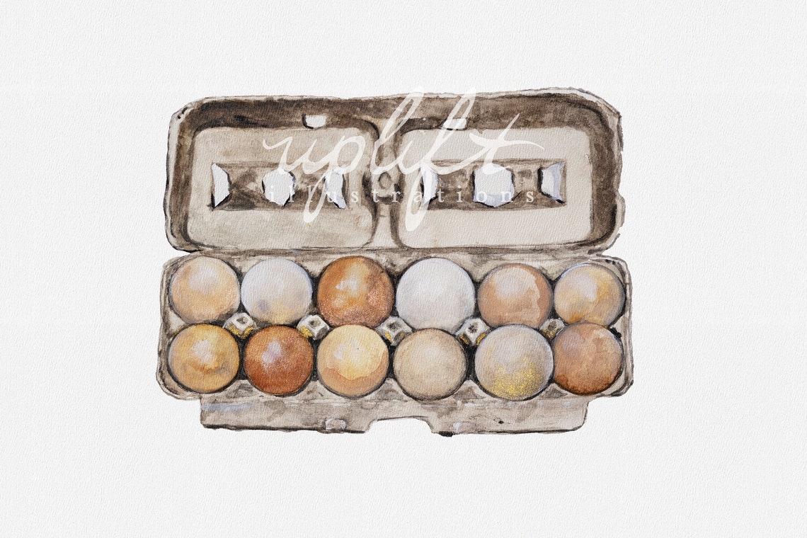 Watercolor Egg Painting Rustic Farm Fresh Eggs Print Etsy