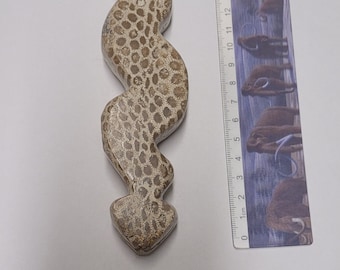 Fossiler Stein Schlangenschnitzerei