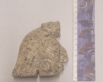 Fossiler Stein Maya Gesicht Schnitzerei mit Jaguar Kopfschmuck