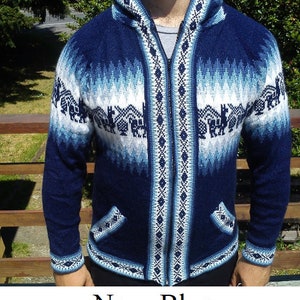 Pull à capuche en alpaga coloré
